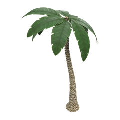 Palm tree